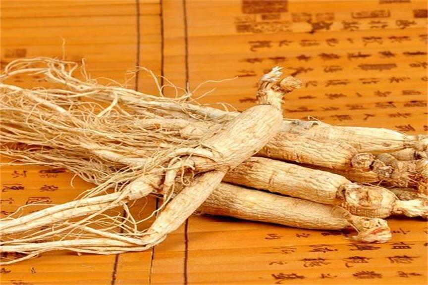 中药系列之一：人参的功效及作用