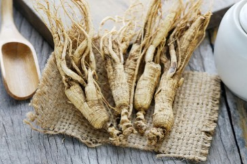 得了抑郁症怎么办？研究发现人参提取物调节肠道菌群、缓解症状