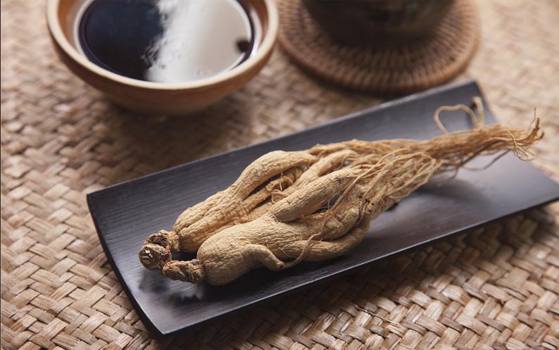 认识人参（一）中国人参的起源与历史发展