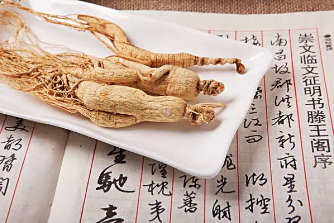 【中药简说】人参