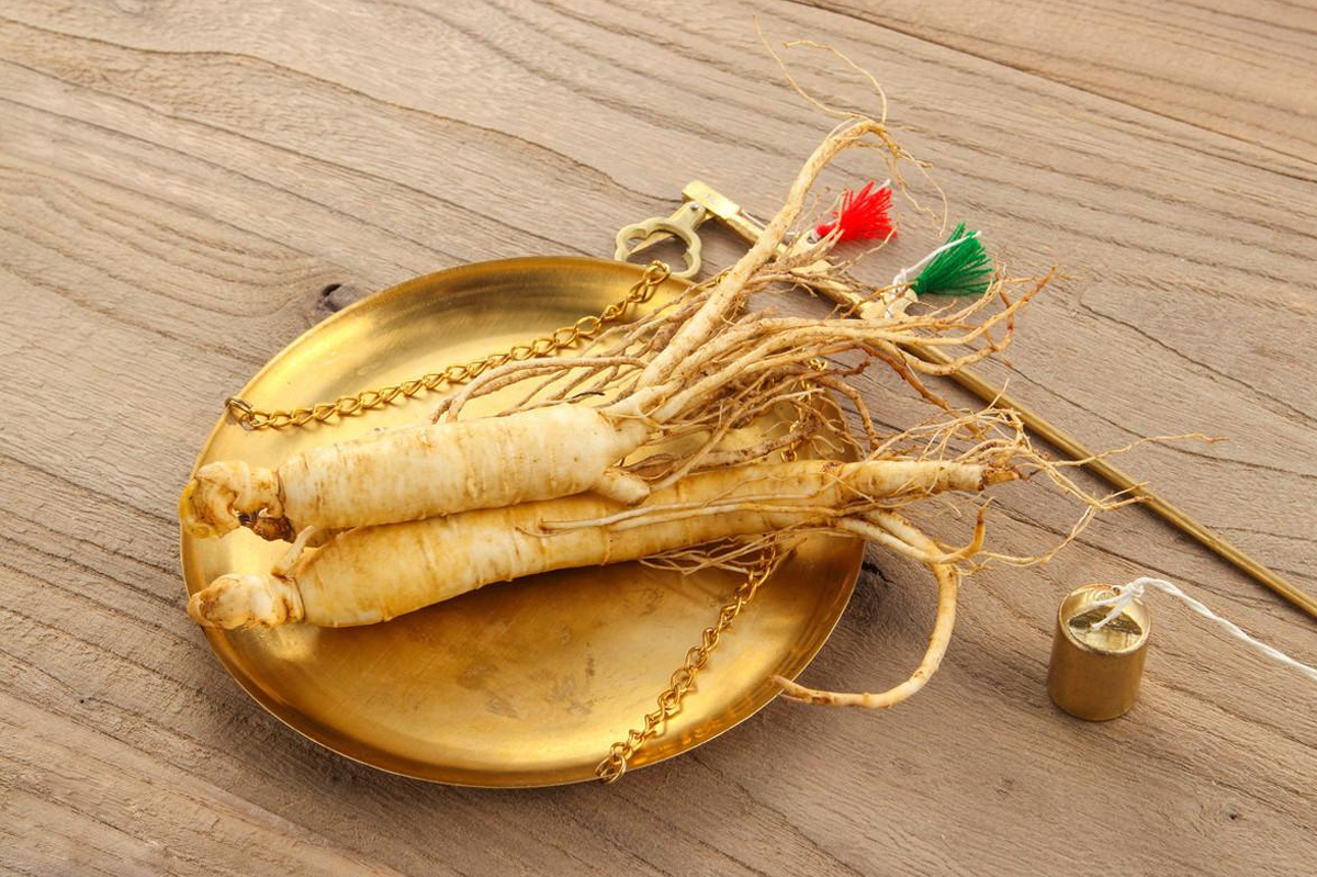 人参的化学成分及药理作用